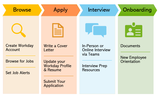 This image outlines the process to become a new employee. 1) browsing for a job by creating a workday account and setting job alerts 2) applying which includes writing cover letter, updating your workday profile, and submitting your application 3)interview via teams and a reference to prep materials and finally 4) onboarding which involes documents and new employee orientation